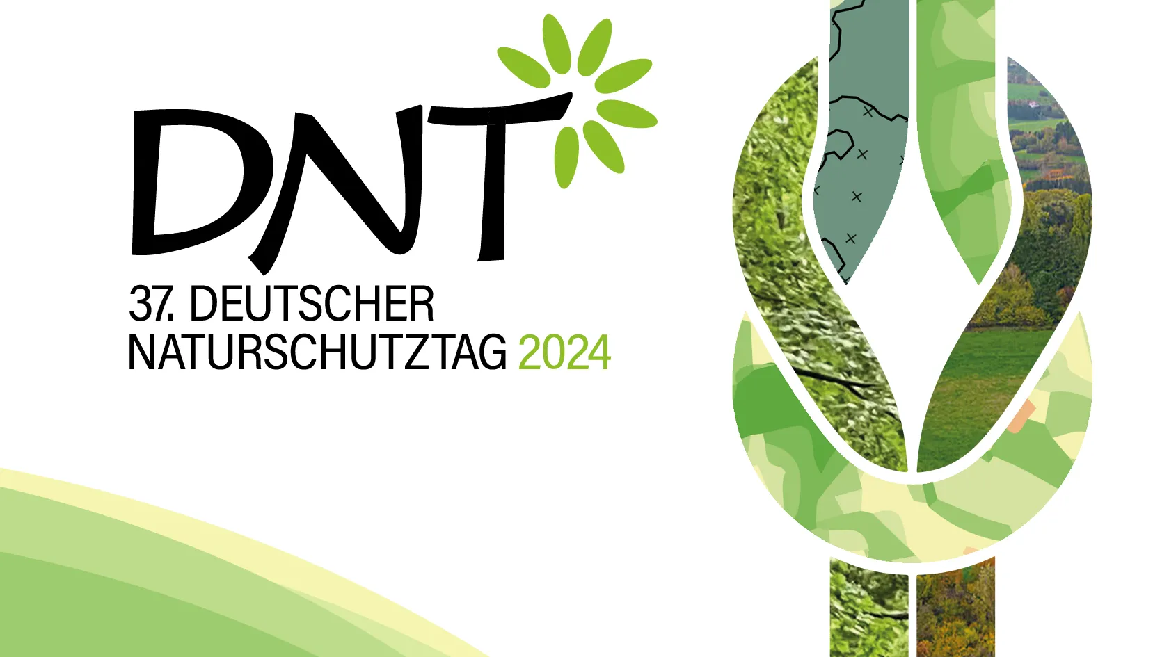 Schriftzug DNT